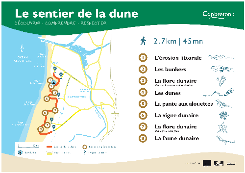 Les sentiers de la Dune de Capbreton