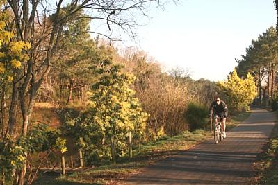 Cyclable-Capbreton