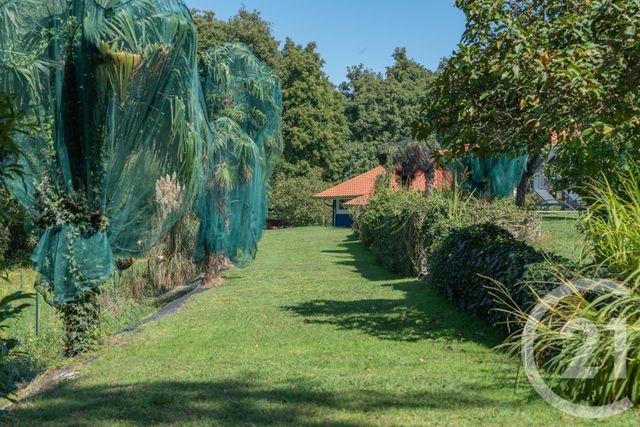 maison à vendre - 8 pièces - 178.5 m2 - BENESSE MAREMNE - 40 - AQUITAINE - Century 21 Berritzea