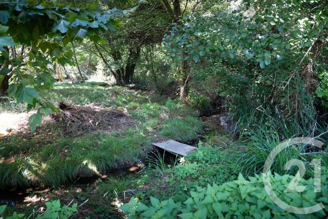 maison à vendre - 8 pièces - 178.5 m2 - BENESSE MAREMNE - 40 - AQUITAINE - Century 21 Berritzea