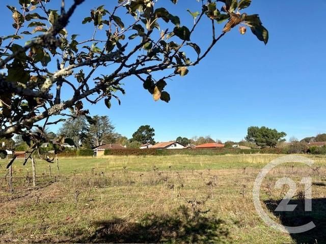 terrain à vendre - 946.0 m2 - SEIGNOSSE - 40 - AQUITAINE - Century 21 Berritzea