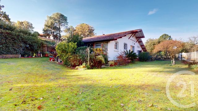 maison à vendre - 7 pièces - 114.0 m2 - SEIGNOSSE - 40 - AQUITAINE - Century 21 Berritzea