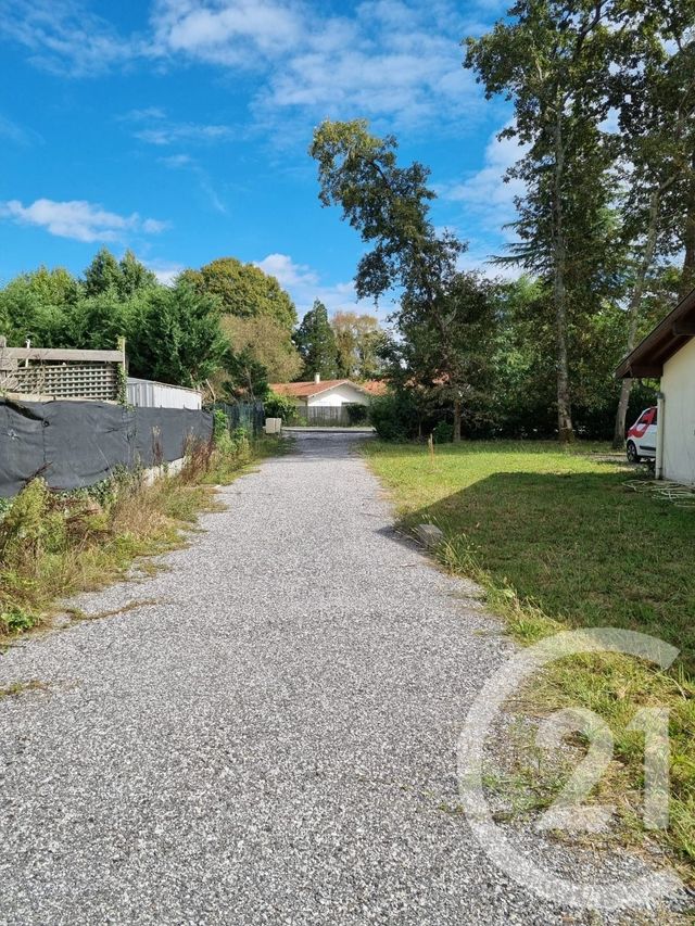 terrain à vendre - 11263.0 m2 - BENESSE MAREMNE - 40 - AQUITAINE - Century 21 Berritzea